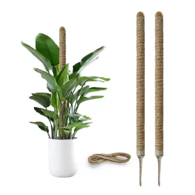 27.6inch Bendable Coconut Coir Stick With Hemp Rope The Ideal Plant Support, Natural And Eco-Friendly, Easily Create A Green Space (Option: 276inch)